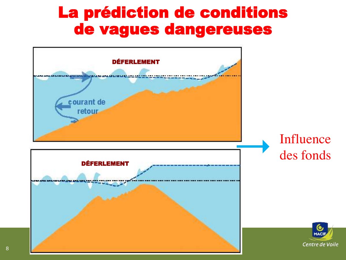 Slide 8