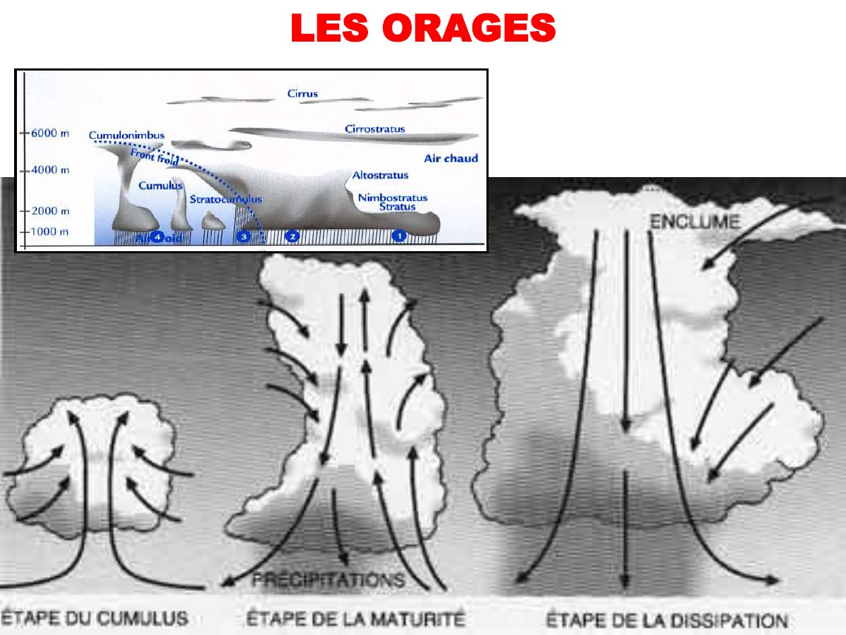Slide 20