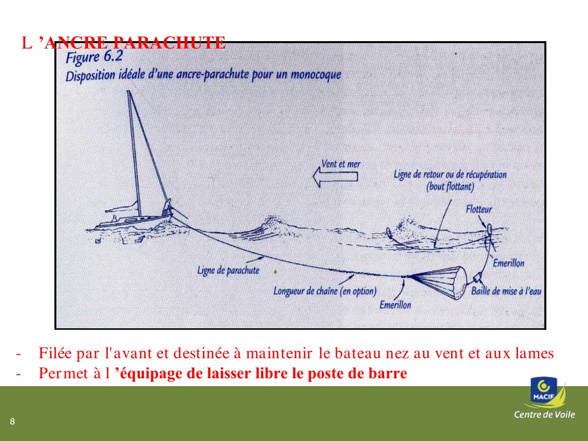 Slide 8