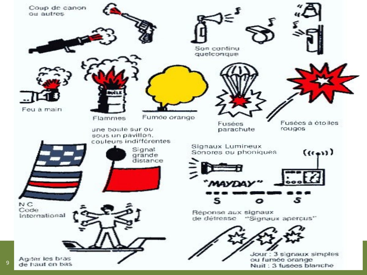 Slide 9